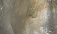 clue-du-riolan-0020-sercant-2012.jpg