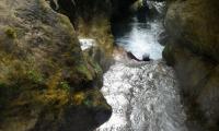 torrente-albola-1001-sercant-2012.jpg