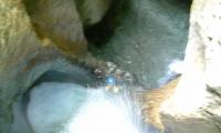 torrente-albola-1016-sercant-2012.jpg