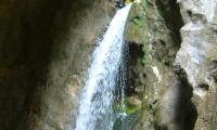 torrente-albola-1018-sercant-2012.jpg