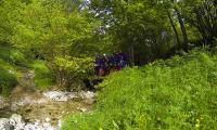 torrente-aviana-0001-sercant-2013.jpg