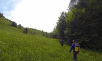 torrente-aviana-0002-sercant-2013.jpg