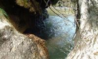 torrente-campiglio-0037-sercant-2012.jpg
