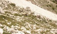 alta-via-dolomiti-4-0106-sercant-2012.jpg