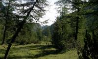 alta-via-dolomiti-4-0130-sercant-2012.jpg
