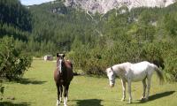 alta-via-dolomiti-4-0136-sercant-2012.jpg