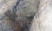 speleo-antro-corchia-0054-sercant-2012.jpg
