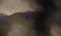 speleo-antro-corchia-0066-sercant-2012.jpg
