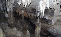 speleo-antro-corchia-0078-sercant-2012.jpg