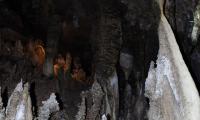 speleo-antro-corchia-0079-sercant-2012.jpg