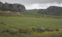MolinoDrago326.JPG