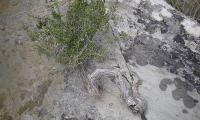 canyon-de-mortix-0004-sercant-2012.jpg