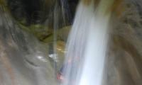 clue-da-la-maglia-0026-sercant-2012.jpg