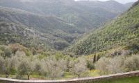 forra-di-prodo-0011-sercant-2012-.jpg