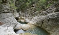 forra-di-prodo-0040-sercant-2012-.jpg