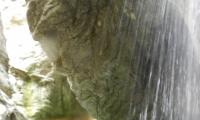 forra-di-prodo-0046-sercant-2012-.jpg