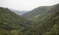forra-di-prodo-0055-sercant-2012-.jpg