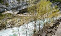 Ravin-Mainmorte-0001-sercant-2013.jpg