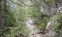 Ravin-Mainmorte-0014-sercant-2013.jpg