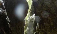 Ravin-Mainmorte-0023-sercant-2013.jpg