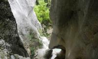 Ravin-Mainmorte-0026-sercant-2013.jpg