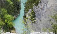 Ravin-Mainmorte-0045-sercant-2013.jpg