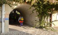 torrente-baes-0006-sercant-2013.jpg