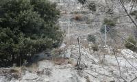 torrente-baes-0015-sercant-2013.jpg