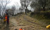 torrente-baes-0024-sercant-2013.jpg
