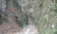 torrente-baes-0030-sercant-2013.jpg