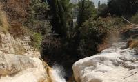 torrente-baes-0078-sercant-2013.jpg
