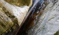 torrente-campione-0085-sercant-2013.jpg