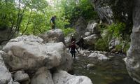 torrente-campione-0110-sercant-2013.jpg
