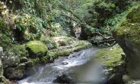 vajo-dell-orsa-0012-sercant-2012.jpg