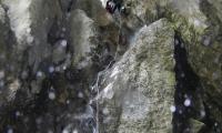 vajo-dell-orsa-0033-sercant-2012.jpg
